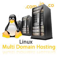 Multidomain Hosting